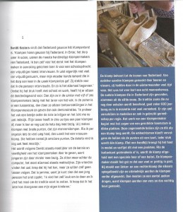 Artikel Daniel pag 2