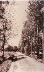 De Eversdijk in 1960. Zie de aanplant van populieren nog in die tijd.